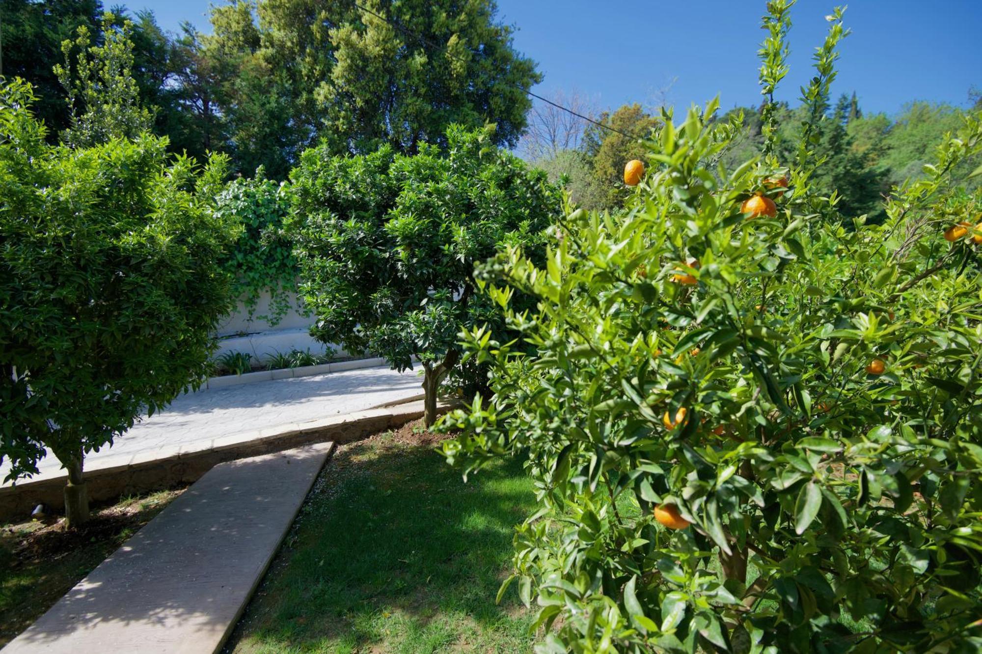 Villa Natilia Gazatika Екстер'єр фото